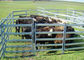 Australia Standard 6 Rail Steel Cattle Fence 40x80 Oval Rail Metal Livestock Fence Panels