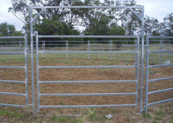 Avustralya Standart 6 Ray Çelik Sığır Çit 40x80 Oval Ray Metal Hayvancılık Çit Panelleri